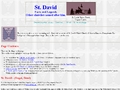 St. David: Fact and Legends, Other churches named after him