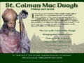 St. Colman Mac Duagh